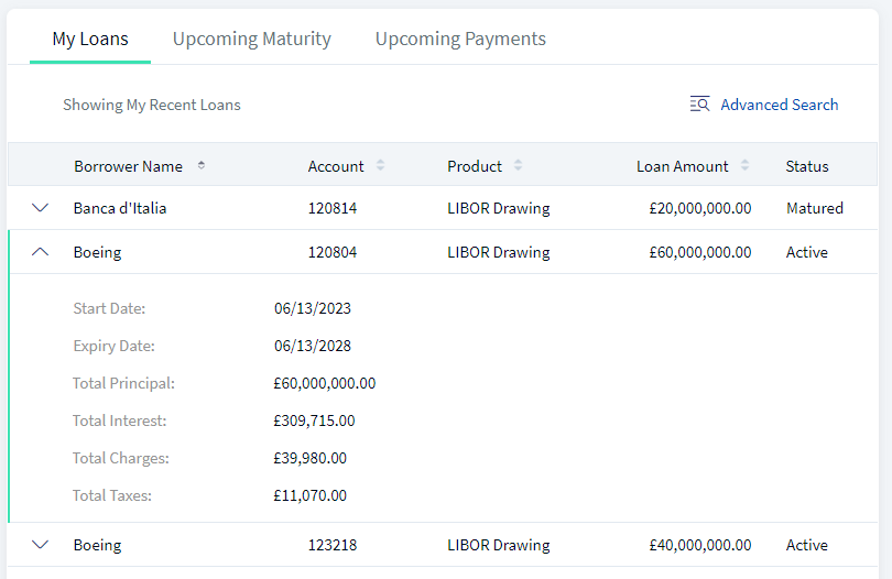 My Loans - Expanded