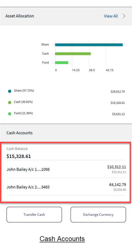 Cash Accounts