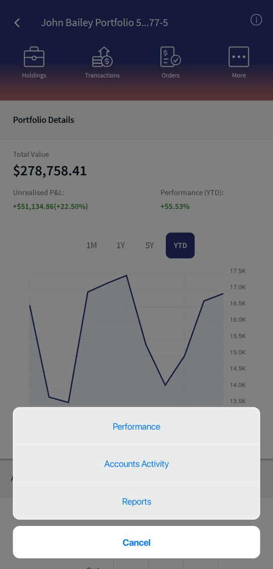 Portfolio Details Options