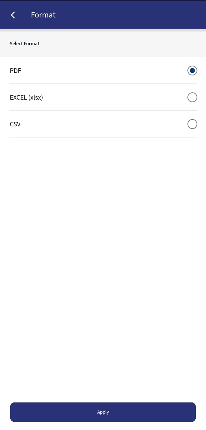 Report Format