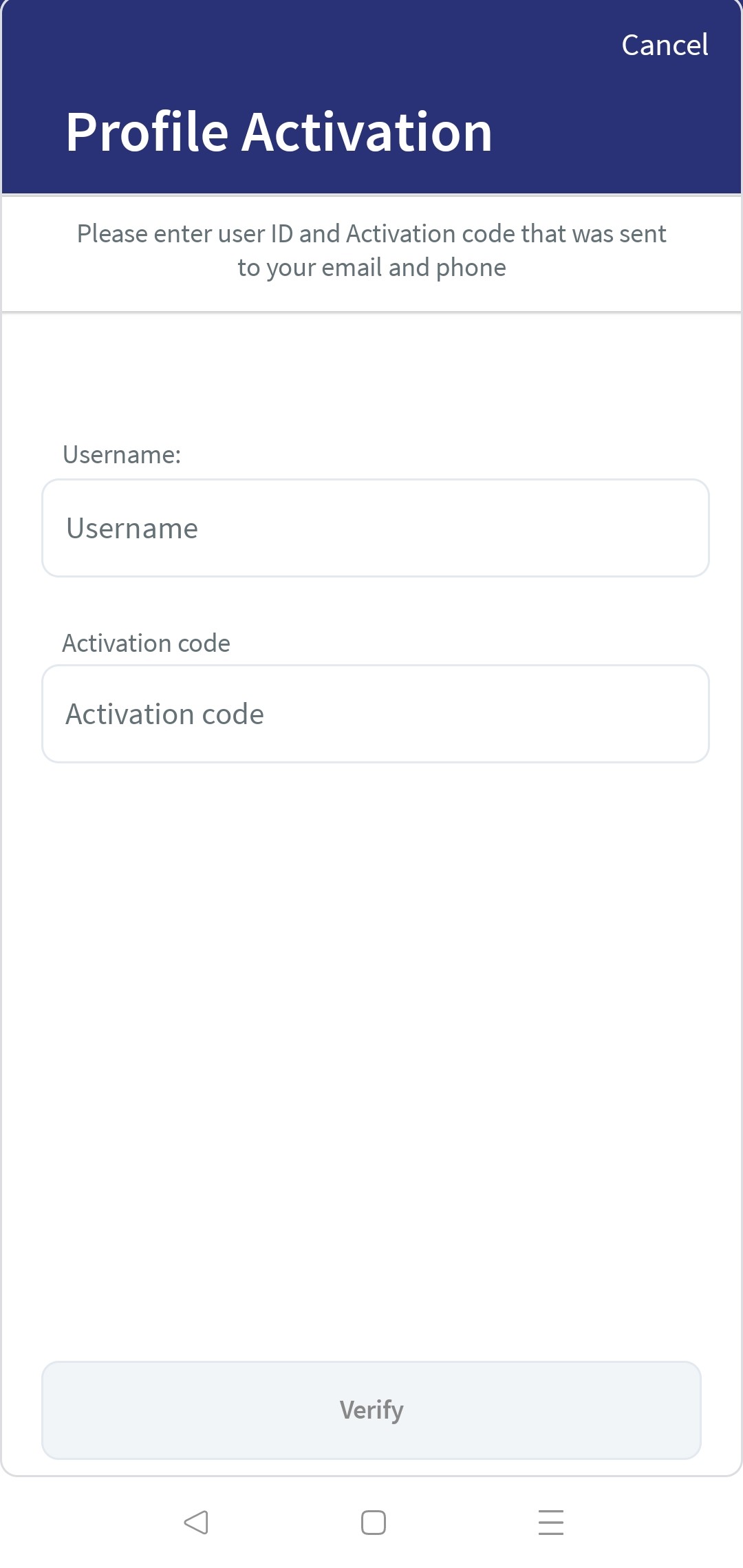 Login Screen
