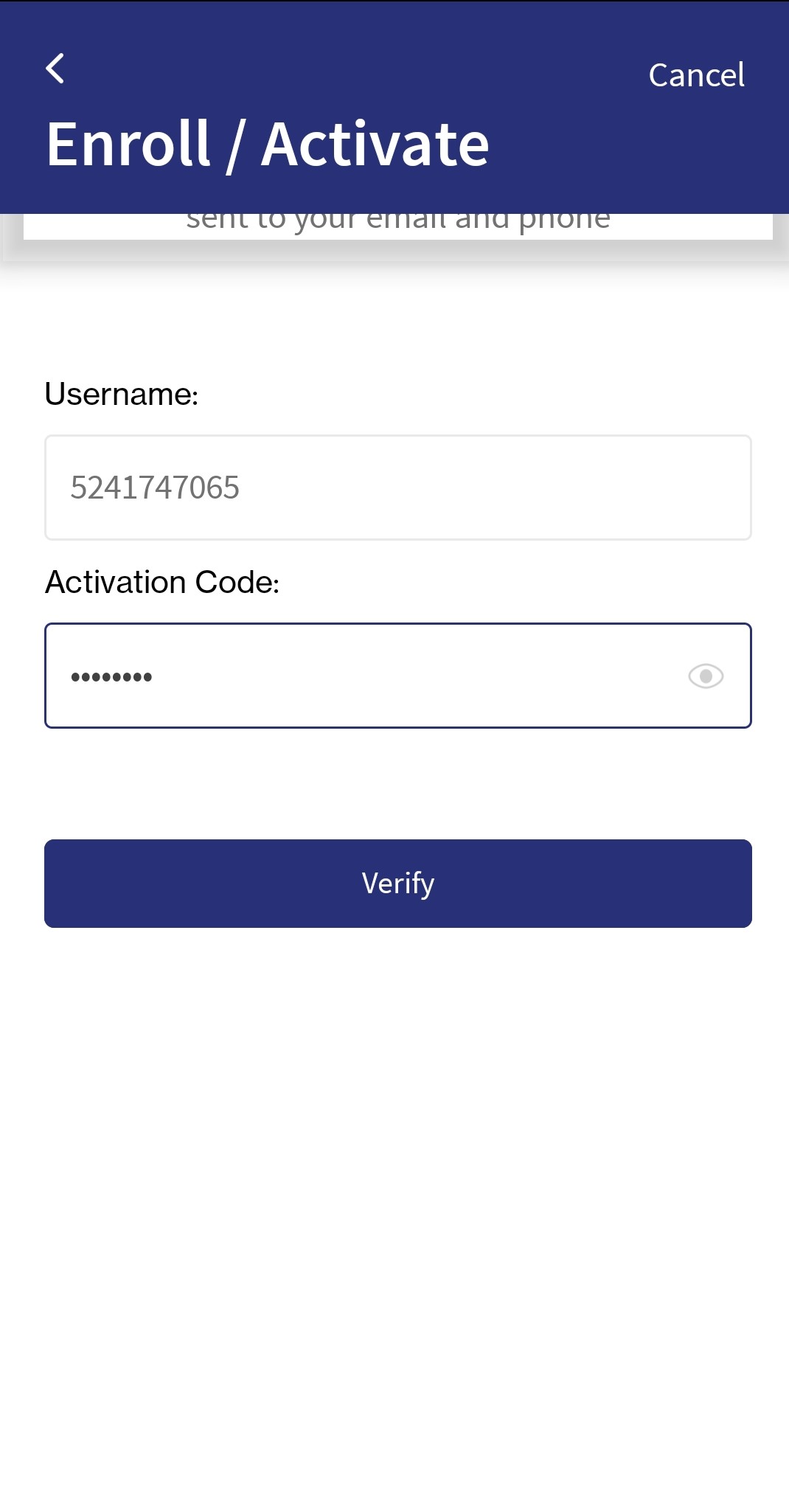 Login Screen