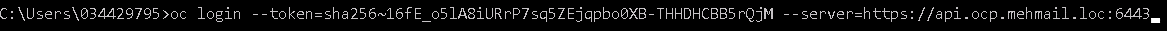 Executing the copied API token