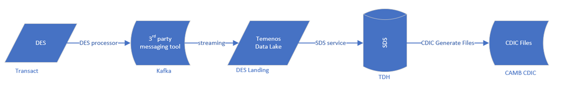 CAMB CDIC Module Workflow